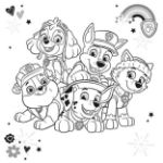 Picture of Find the pair book Paw Patrol